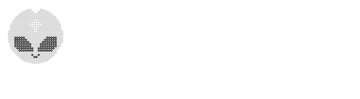 Official Logo, Magneto Insights & Research White Logo, Magneto Brand